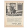 1961 Basset Hound Dog Photo SMA State Mutual Amer Ad