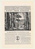 1930 Adolph S Ochs Lake George NY Davey Tree Surgery Ad