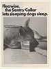 1967 Sleeping Great Dane Sergeant's Sentry Dog Collar Ad