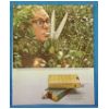 1970 Benson & Hedges Hedge Trimmer Ad