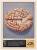 1997 Miller Lite Beer Male Brain Football Fan Print Ad