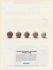 1986 Nynex Right Technology Can Improve Anybody's Game Old Golf Balls Print Ad