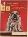1954 Bulldog and Puppy Old Gold Cigarette King Size and Regular Print Ad